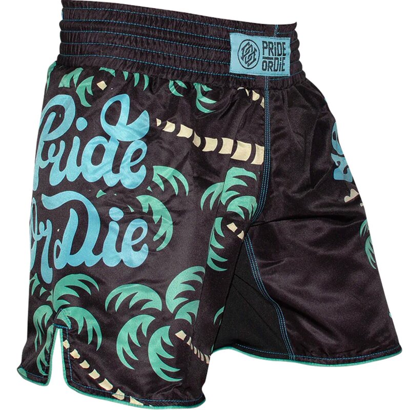 Pride or Die PRIDE or DiE Fightshorts No Training Schwarz