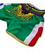 Fluory Fluory Muay Thai Kickboxing Shorts Suriname MTSF93