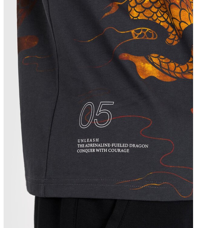 Venum Dragon's Flight T-Shirt Baumwolle Vulcano Rot