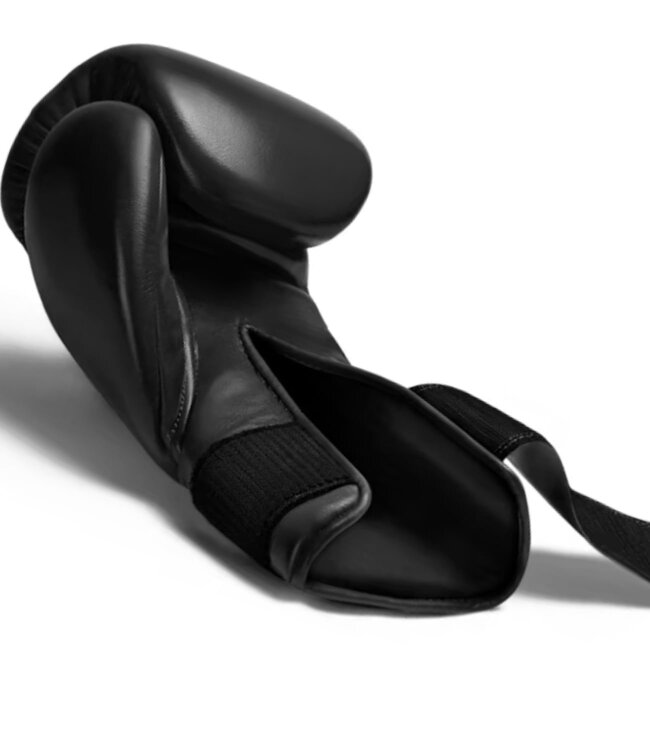 Hayabusa Hayabusa Pro Leder Boxhandschuhe Schwarz