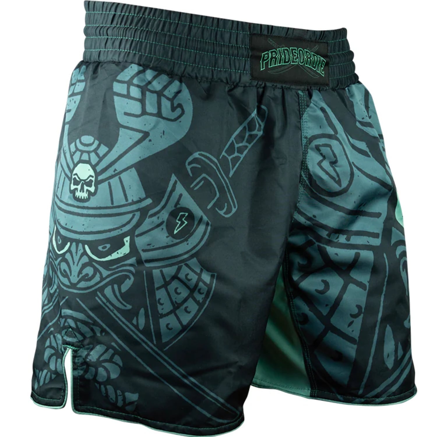 Fighter MMA Shorts Samurai - black/gold, FSHM-SAM-01 main image 0