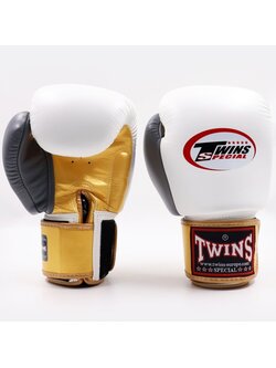 Twins Special Twins (Kick)Bokshandschoenen BGVL 4 Wit Goud Grijs