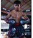 King Pro Boxing Muay Thai Kickbox-Shorts KPB Scary