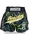 Booster Booster Kickboks Muay Thai Short TBT Aurora 1