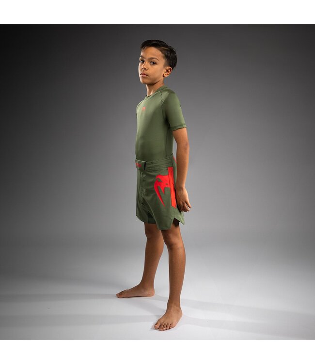 Venum Light Kinder Fightshorts Khaki