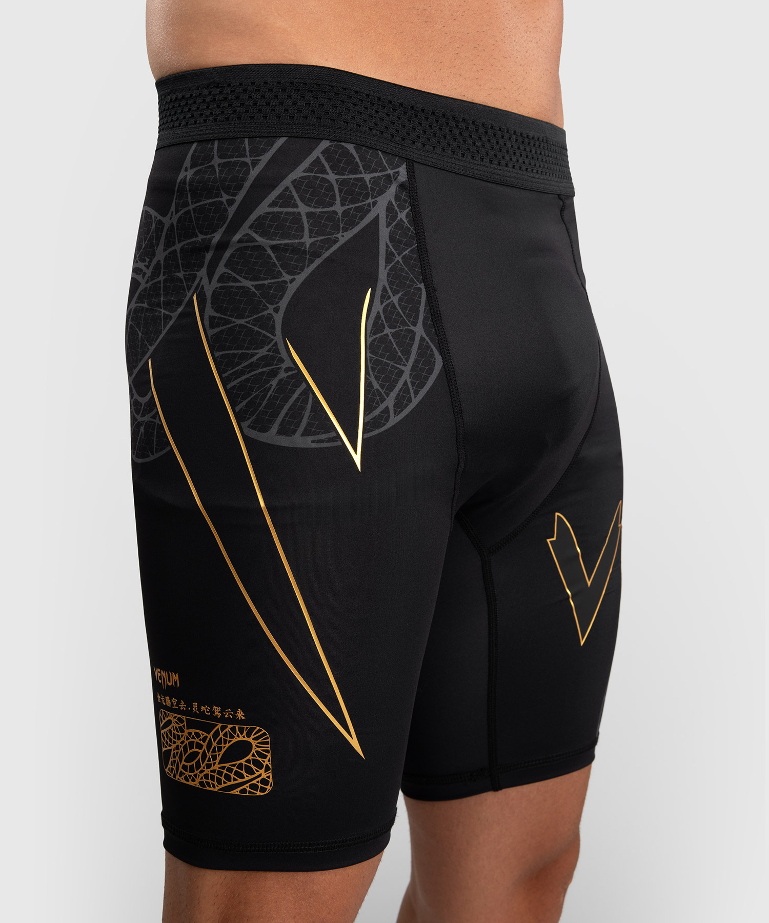 Venum Venum Serpenti Vale Tudo Shorts Schwarz Silber Gold