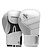 Hayabusa Hayabusa S4 Leren Bokshandschoenen Wit