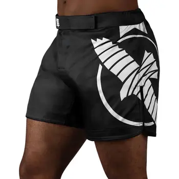 Hayabusa Fightshorts