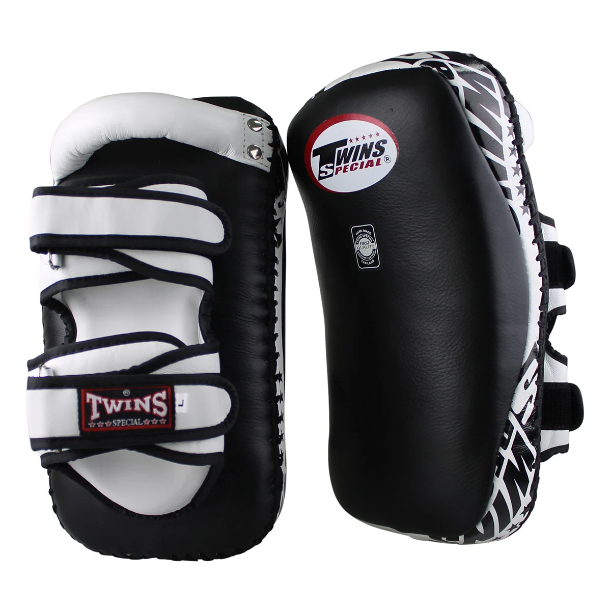 Twins Special Thai Pads & Arm Pads – Professional Training Pads from Thailand