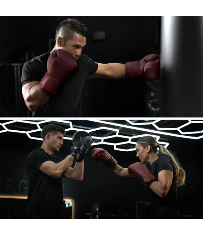 Hayabusa T360 Leather Boxing Gloves – Cabernet Red