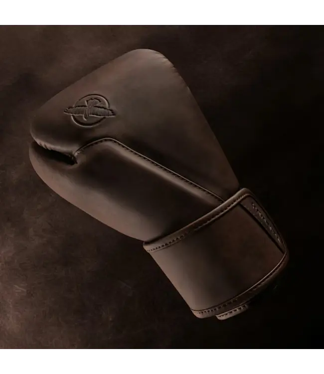 Hayabusa T360 Leather Boxing Gloves – French Roast
