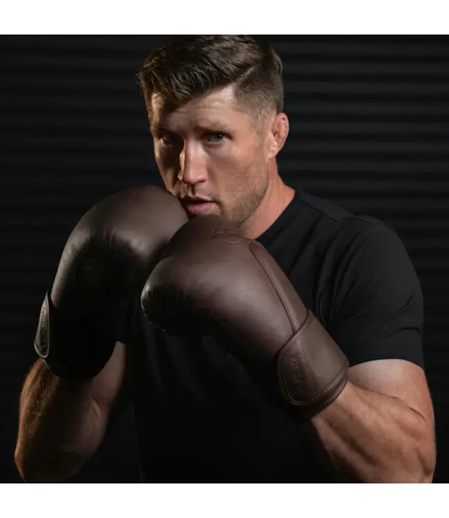 Hayabusa T360 Boxhandschuhe aus Premium Leder – French Roast