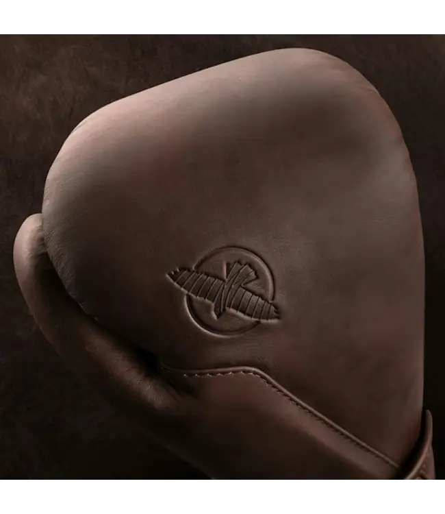 Hayabusa T360 Leather Boxing Gloves – French Roast