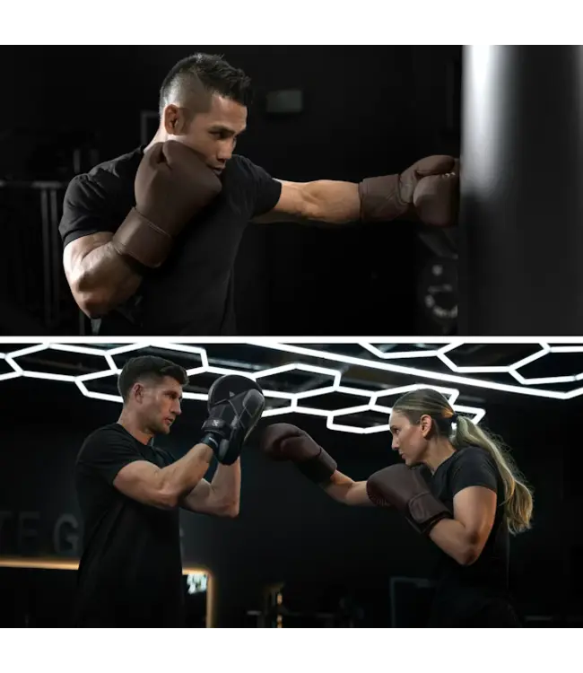 Hayabusa T360 Bokshandschoenen van Premium Leer – French Roast