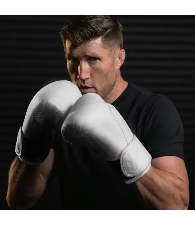 Hayabusa T360 Bokshandschoenen van Premium Leer – Sea Smoke