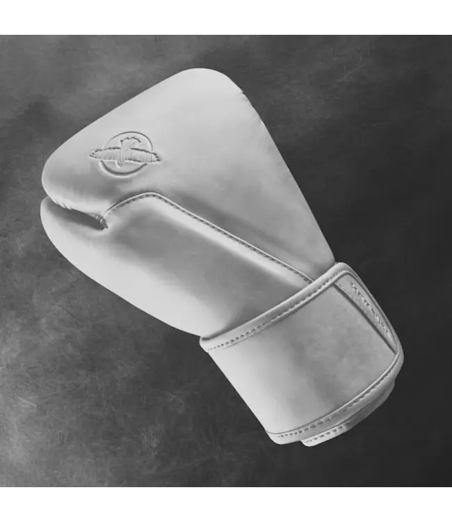 Hayabusa T360 Leather Boxing Gloves – Sea Smoke