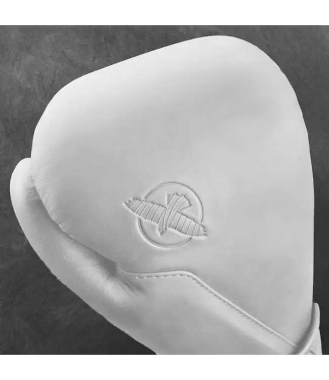 Hayabusa T360 Bokshandschoenen van Premium Leer – Sea Smoke