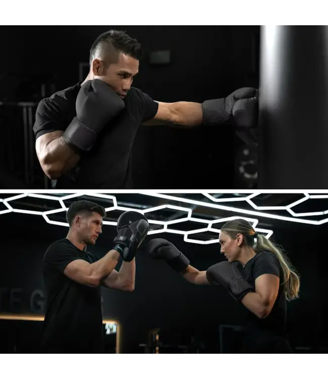 Hayabusa T360 Leather Boxing Gloves – Midnight Black