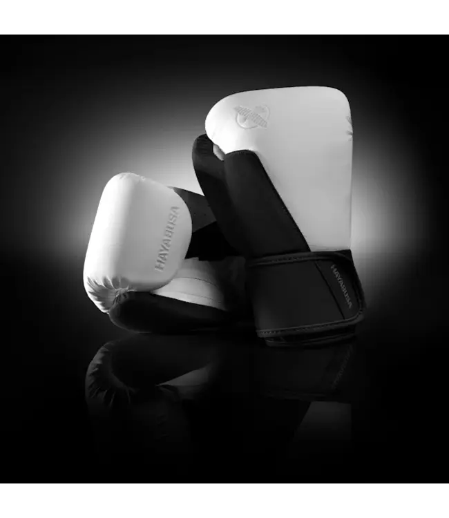 Hayabusa T360 Bokshandschoenen Wit/Zwart – Voor Boksen, Kickboksen & Muay Thai