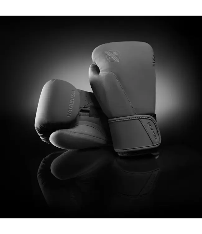 Hayabusa T360 Boxing Gloves Charcoal – For Boxing, Kickboxing & Muay Thai