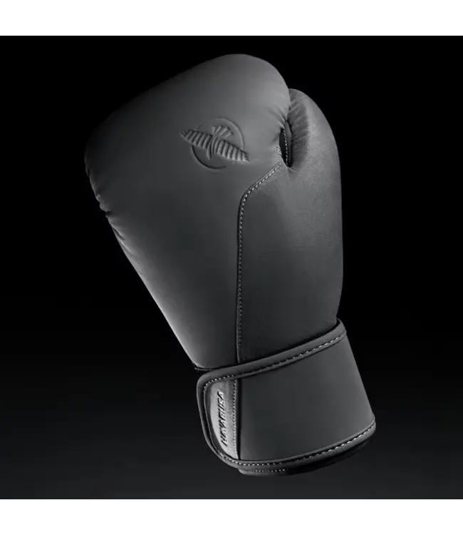 Hayabusa T360 Boxing Gloves – Charcoal | Premium Training, Sparring & Advanced Wrist Support