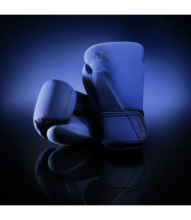 Hayabusa T360 Boxing Gloves – Blue | Premium Training, Sparring & Advanced Wrist Support