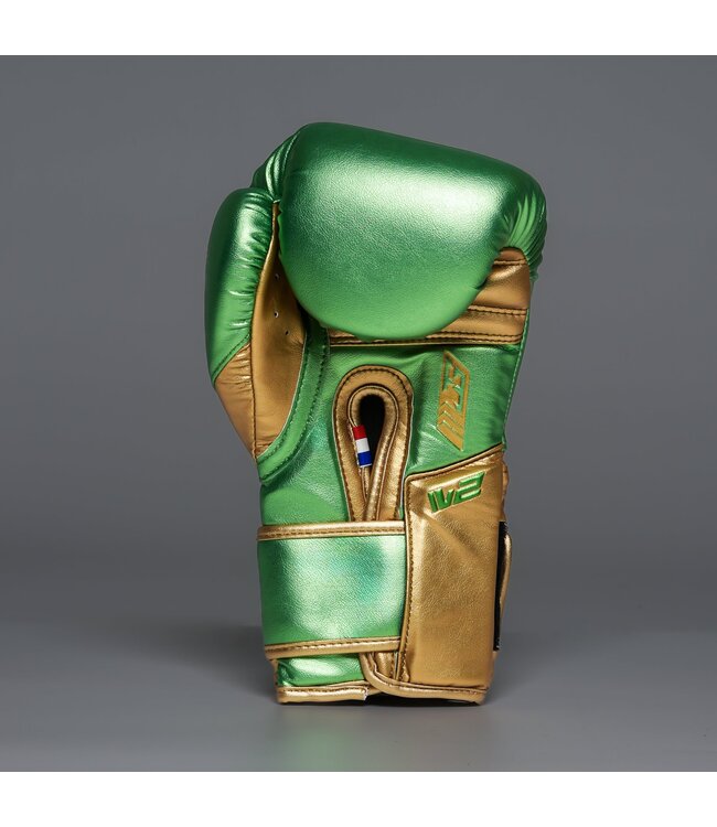 Joyagear Performance V2 Boxhandschuhe Grün/Gold