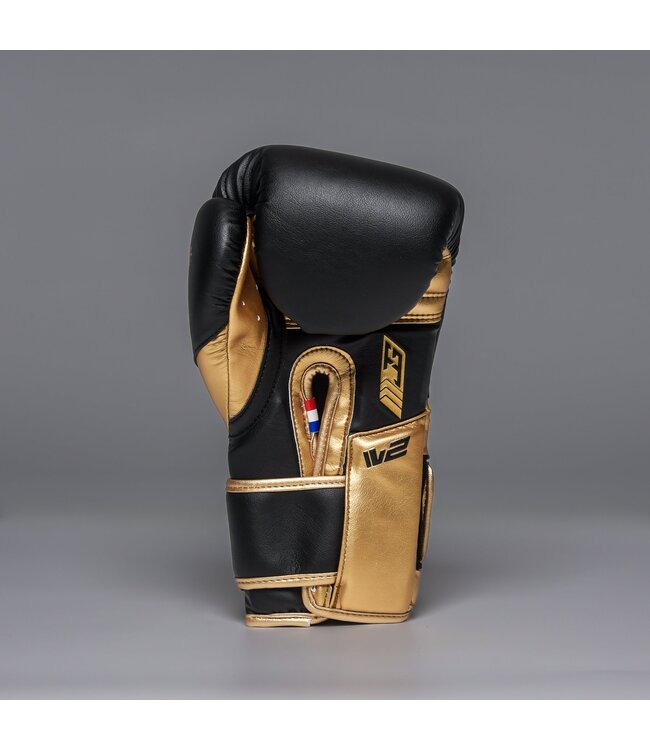 Joyagear Performance V2 Boxing Gloves Black/Gold