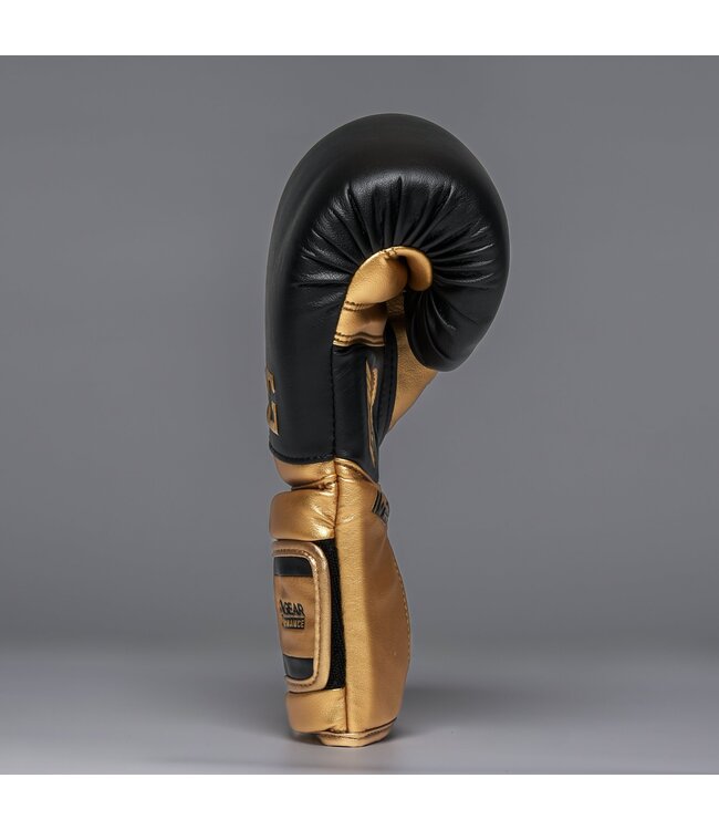 Joyagear Performance V2 Boxing Gloves Black/Gold