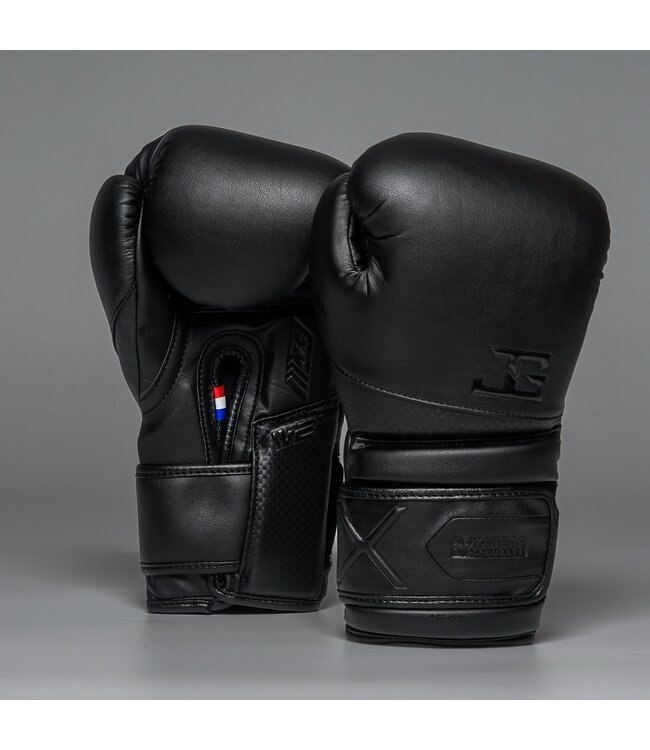 Joyagear Performance V2 Boxhandschuhe Schwarz/Carbon