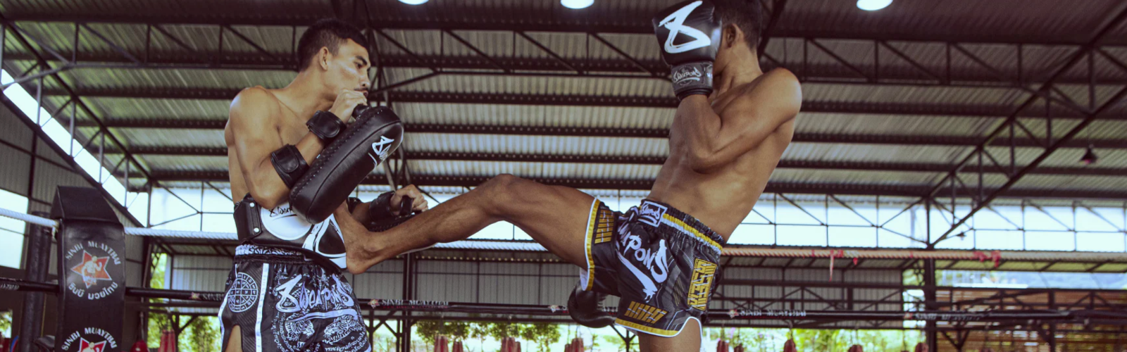 8 WEAPONS Fightgear banner