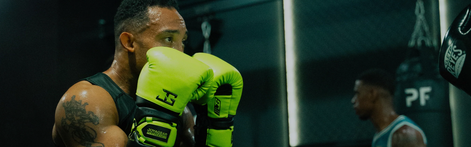 JOYAGEAR fightgear banner