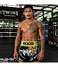 Twins Special Muay Thai & Kickboks Shorts TTBL Graffiti – Zwart