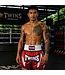 Twins Special Muay Thai & Kickboks Shorts TTBL Rusty Red – Rood/Wit