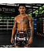 Twins Special Muay Thai & Kickboxing Shorts TTBL Kabuki – Black/Grey