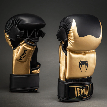MMA Sparring Handschuhe