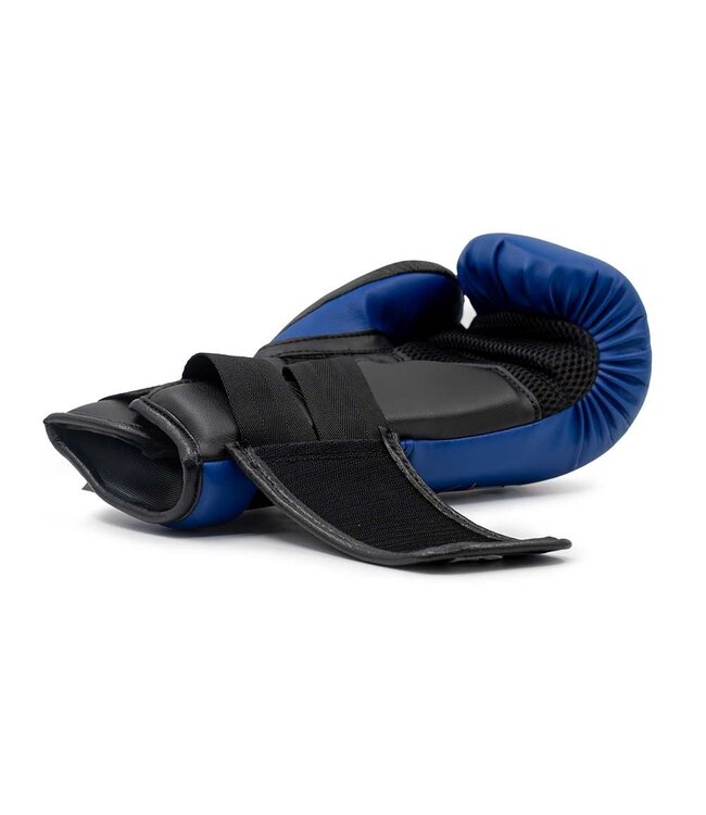 Rival RS11V Evolution Sparring Boxing Gloves – Premium Training Gloves – Blue