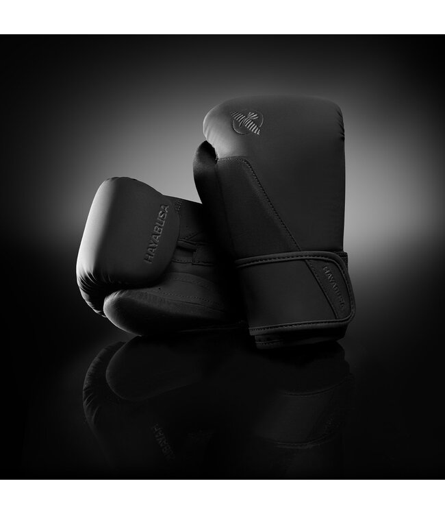 Hayabusa T360 Boxhandschuhe Schwarz – Für Boxen, Kickboxen & Muay Thai