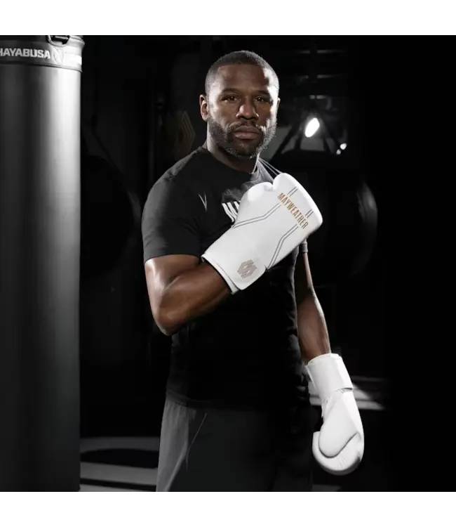 Collection Boxing Gloves