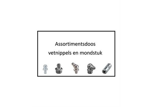 Assortimentsdoos hydraulische smeernippels 