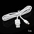 iPhone 5 Lightning Kabel