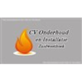  transfer borstlogo full colour 110 x 56 mm cv onderhoud beta