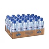 spa reine 33cl petfles 24 stuks