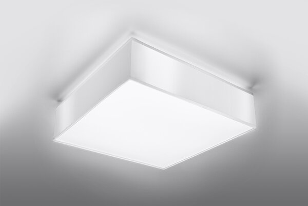 Sollux Lighting Loftsspot HORUS 45 hvid