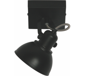 Freelight 1l. Spot Santo Sort