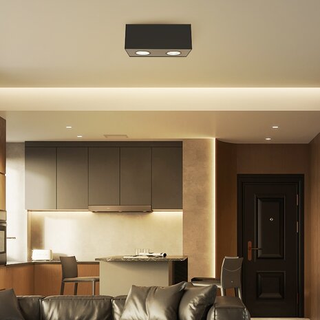 Aigostar LED Loftspot - 2xGU10 fatning - Ekskl. lyskilde - Sort