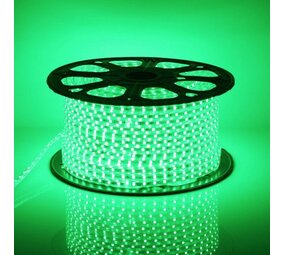 Aigostar LED Lysslange V1 - Valgfri længde - Grønt lys - Plug and Play Aigostar LED Lysslange V1 - Valgfri længde - Grønt lys - Plug and Play