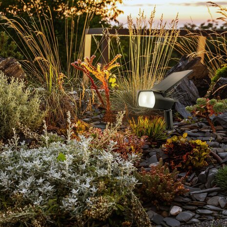 Spectrum LED Solar jordspot Oculus - CCT - IP65 - Inkl. Fjernbetjening Spectrum LED Solar jordspot Oculus - CCT - IP65 - Inkl. Fjernbetjening