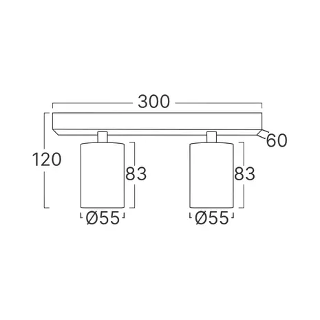 LED-loftspot Beta – 2x GU10-fatning – 300 x 120 mm – Guld LED-loftspot Beta – 2x GU10-fatning – 300 x 120 mm – Guld