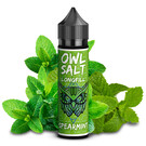 OWL Salt  Spearmint